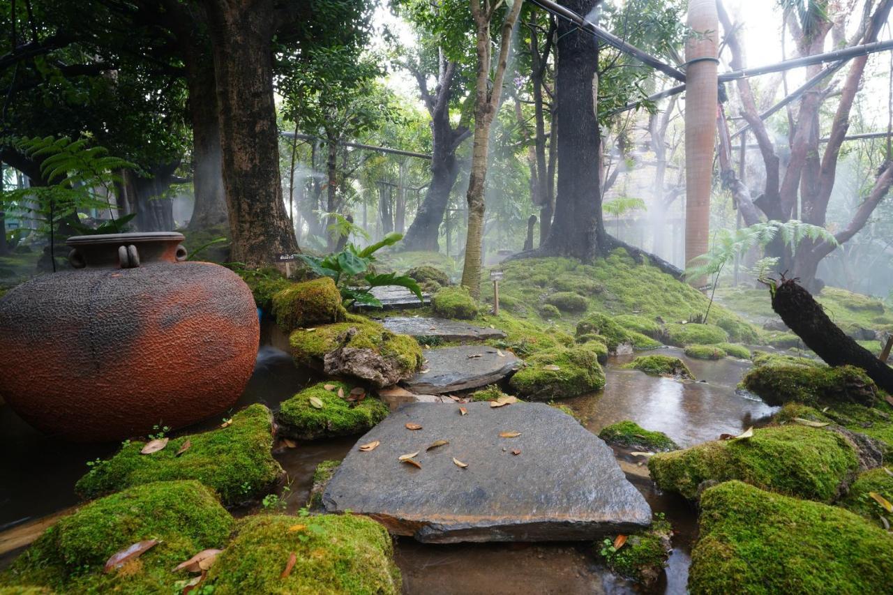 Treescape Resort Chiangmai Chiang Mai Ngoại thất bức ảnh