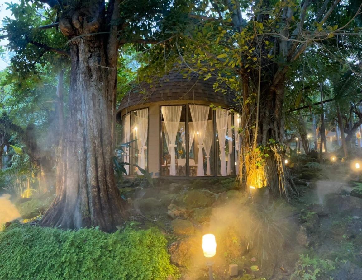 Treescape Resort Chiangmai Chiang Mai Ngoại thất bức ảnh