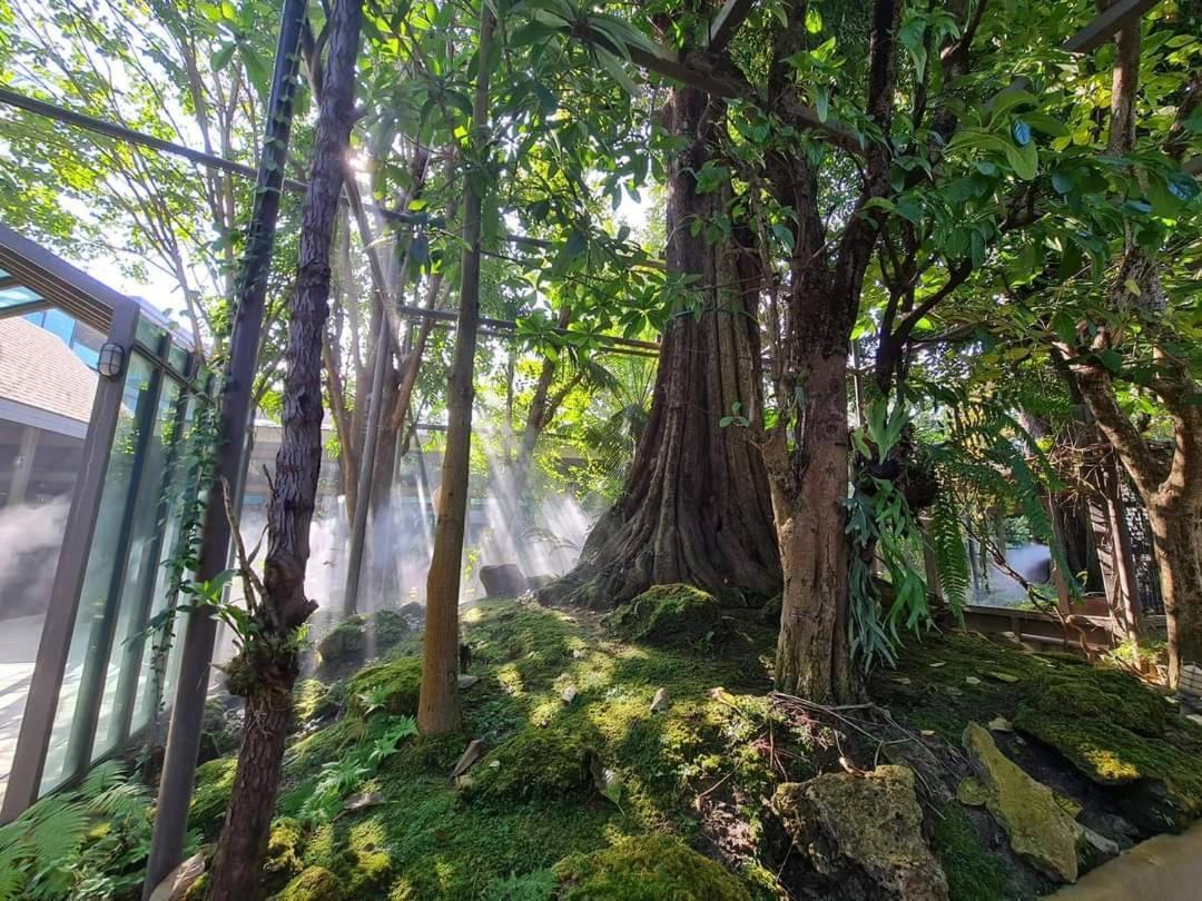 Treescape Resort Chiangmai Chiang Mai Ngoại thất bức ảnh