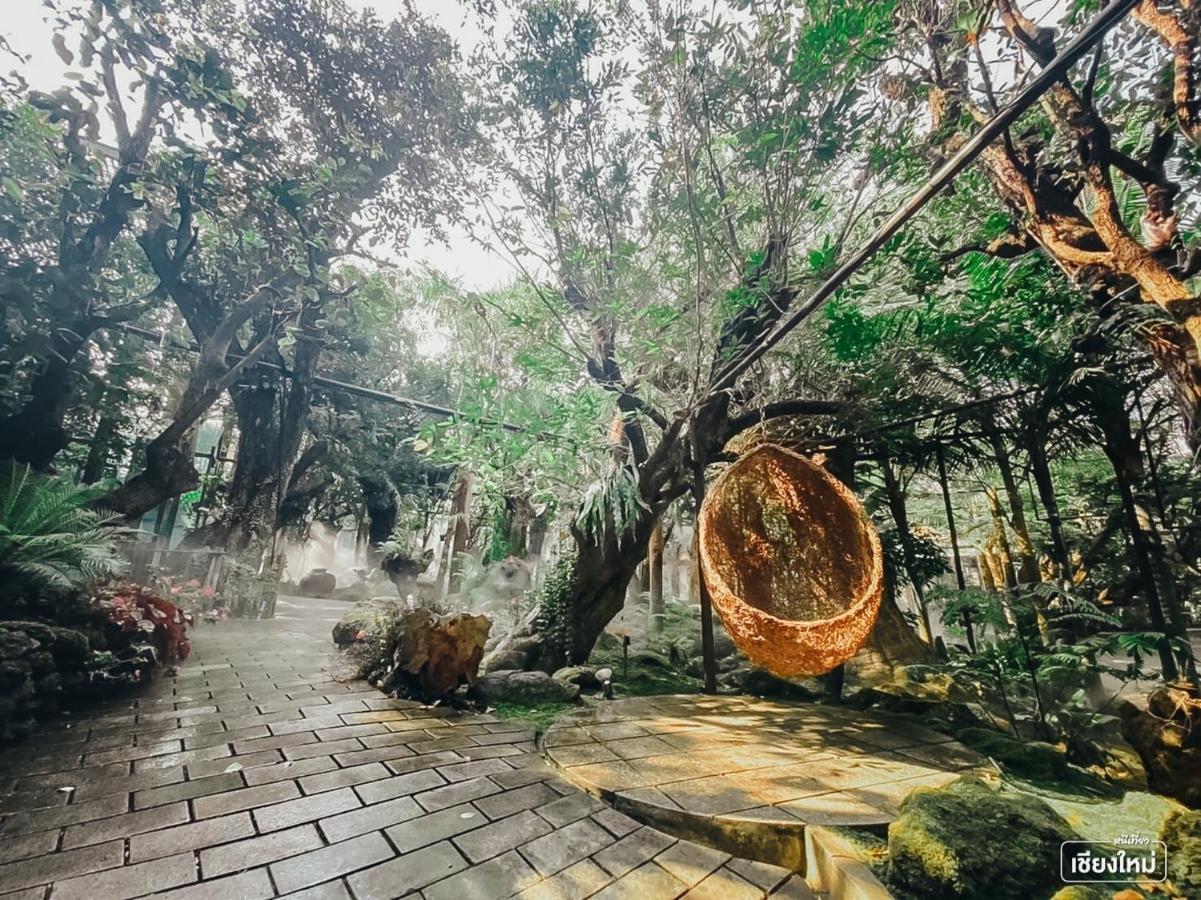 Treescape Resort Chiangmai Chiang Mai Ngoại thất bức ảnh