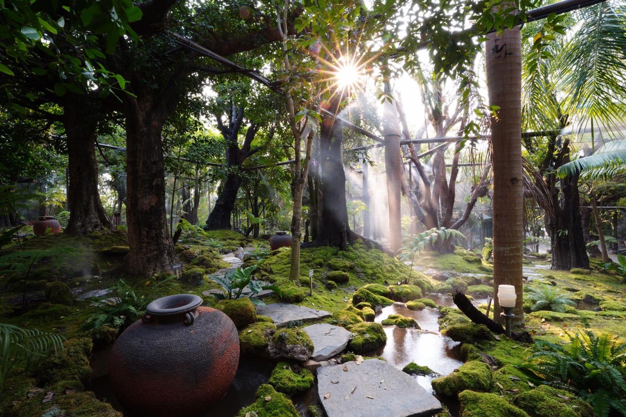 Treescape Resort Chiangmai Chiang Mai Ngoại thất bức ảnh